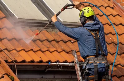 Démoussage et hydrofuge de toiture à Larmor-Baden